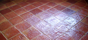 terracotta restoration essex