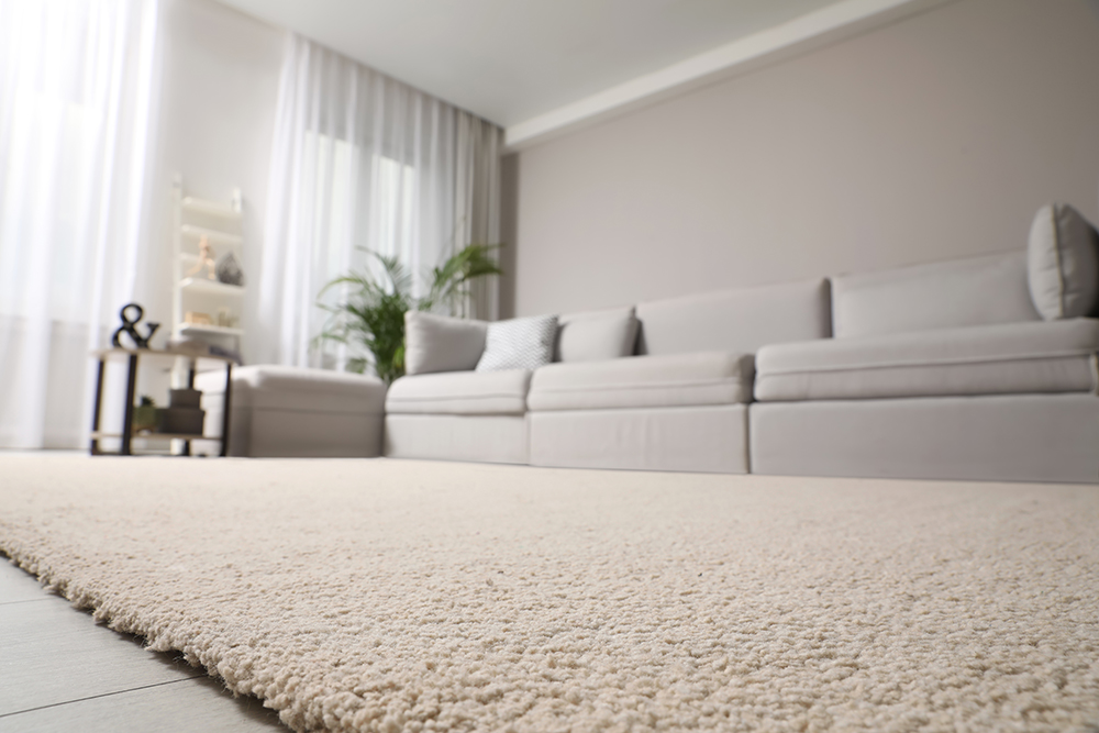 Home Carpet Cleaning Hertfordshire