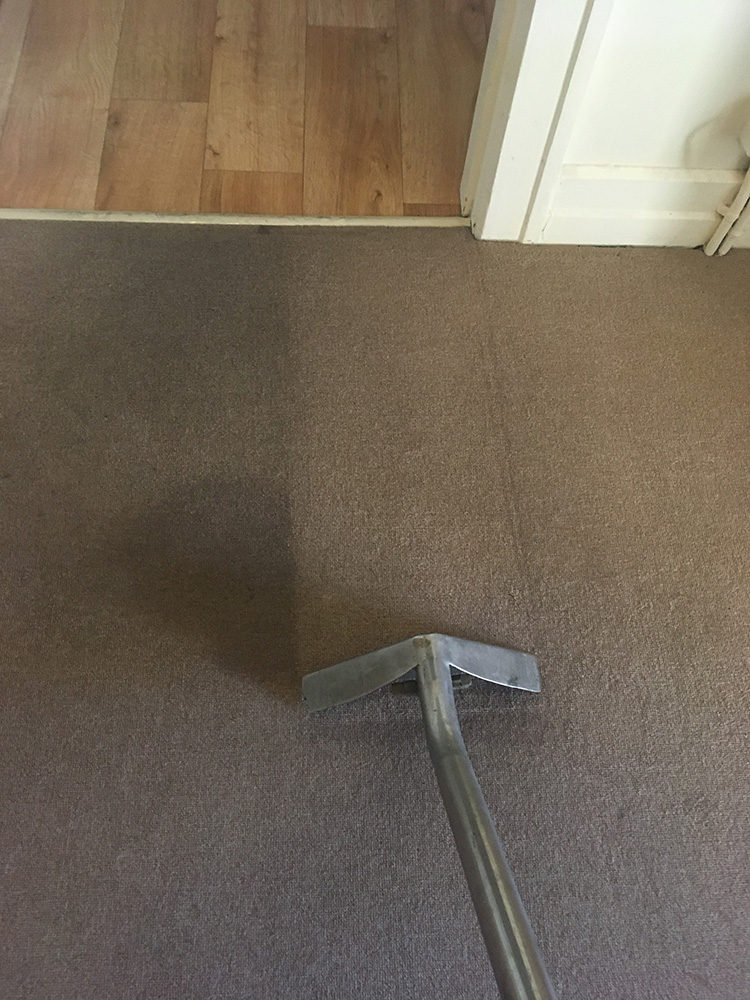 Carpet cleaning Essex