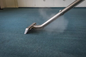 best carpet cleaner Essex